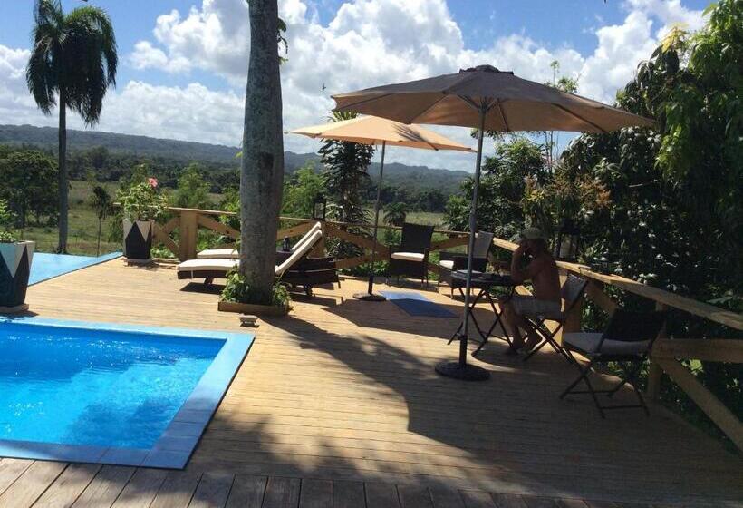 غرفة قياسية مطلة على الجبل, Casa Lilly B&b Cabarete