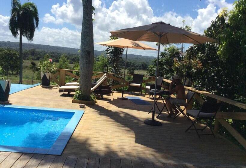 带1个卧室带泳池的公寓, Casa Lilly B&b Cabarete