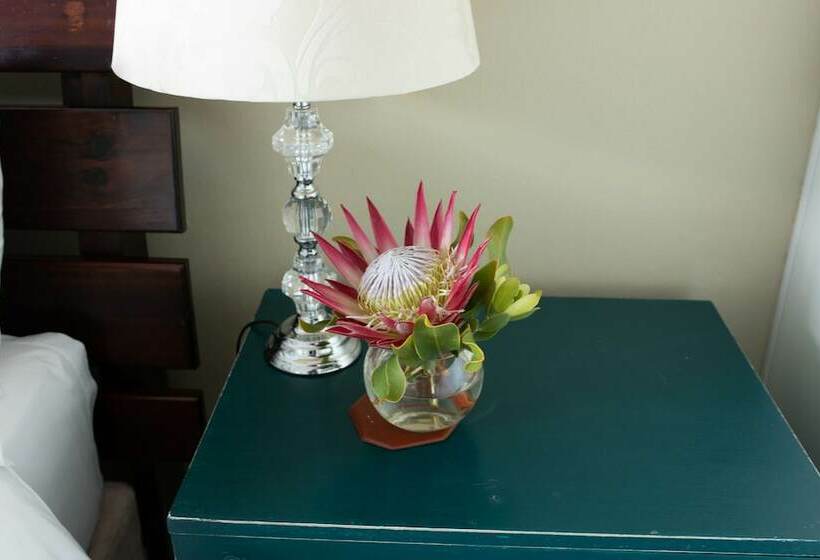 スタンダードルーム, Stay At Friends