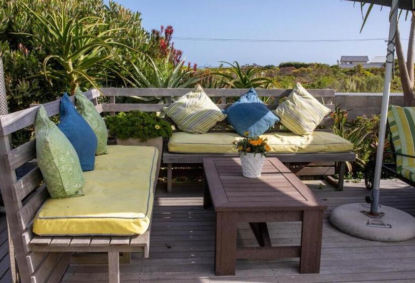 スタンダードルーム, Stay At Friends