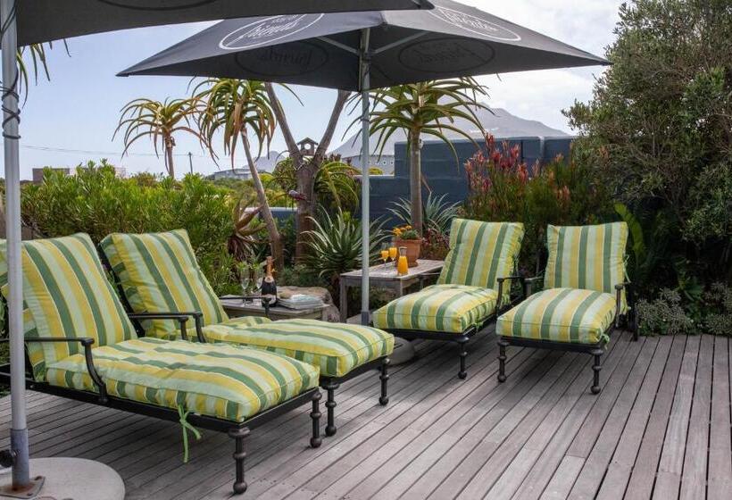 スタンダードルーム, Stay At Friends