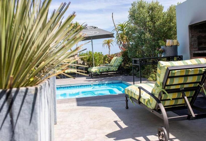 スタンダードルーム, Stay At Friends