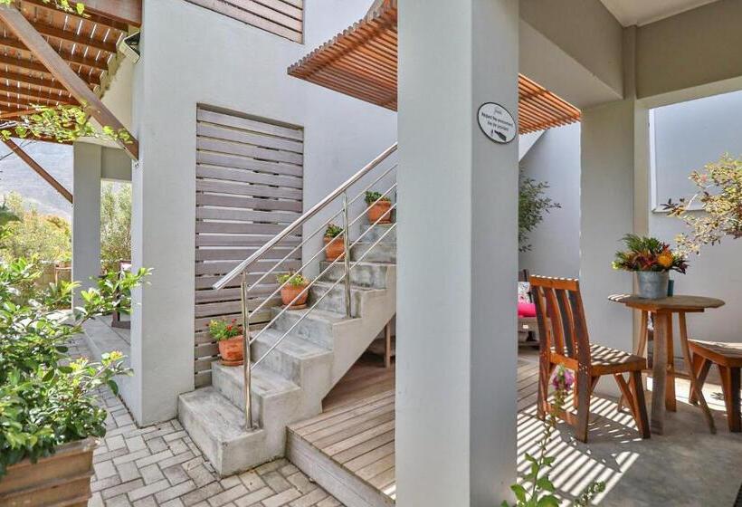 דירת חדר, Stay At Friends