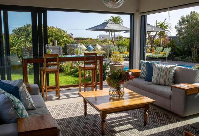 スタンダードルーム, Stay At Friends