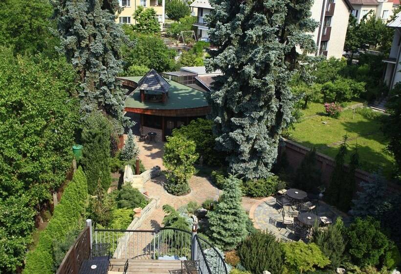 标准单人间, Conti