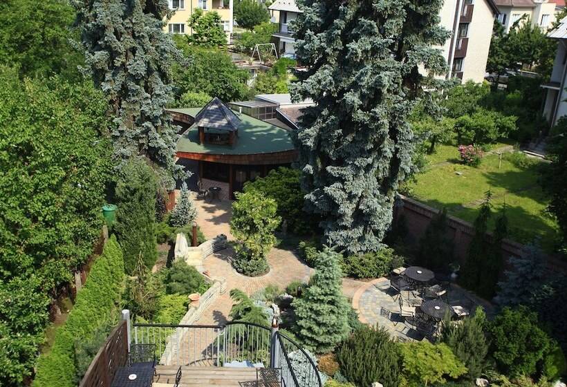 标准单人间, Conti