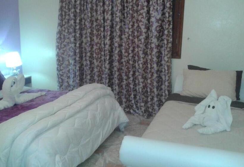 اتاق استاندارد, School Ersat Azrou