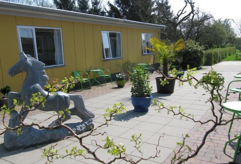 Cameră Familiară Economică, Danhostel Sønderborg Vollerup