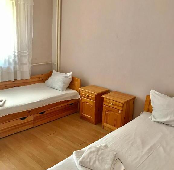 דירת חדר, Hostel 29