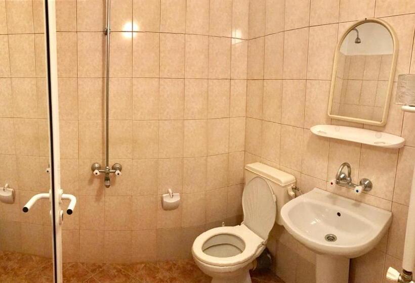 דירת חדר, Hostel 29