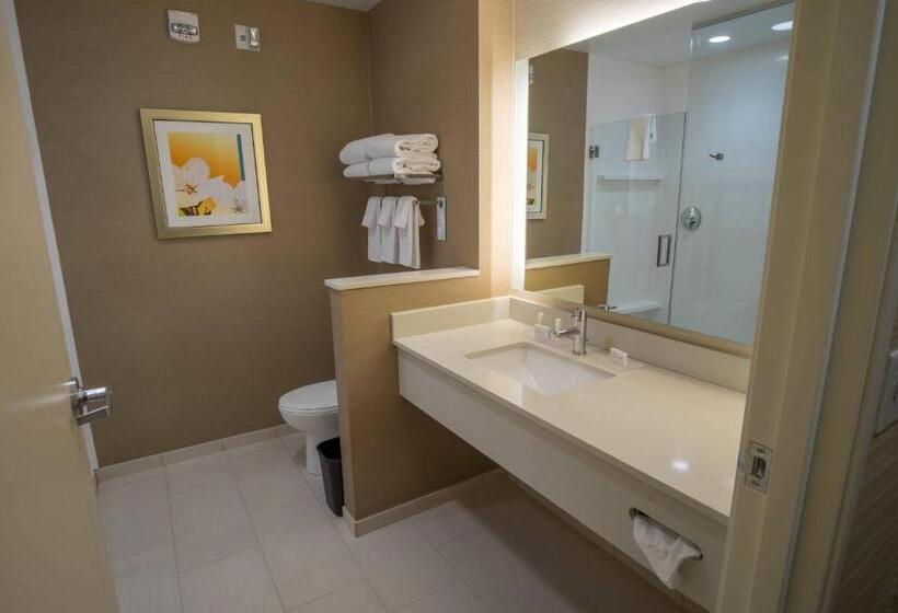 غرفة قياسية سرير كينج, Fairfield Inn & Suites By Marriott Wisconsin Dells