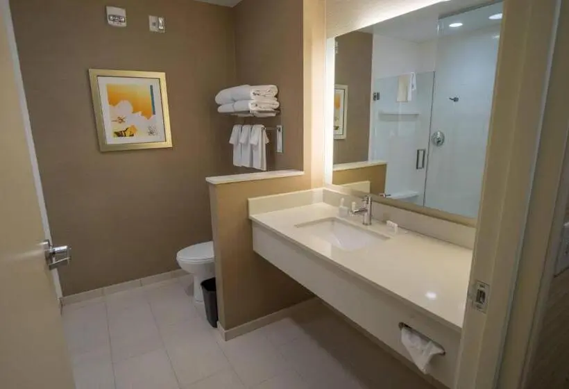Standard-huone King-vuode, Fairfield Inn & Suites By Marriott Wisconsin Dells