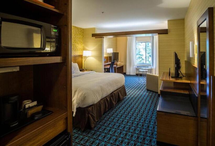חדר סטנדרט עם מיטת קינג, Fairfield Inn & Suites By Marriott Wisconsin Dells