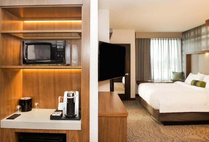 Standard Studio King Bed, Springhill Suites By Marriott Bend