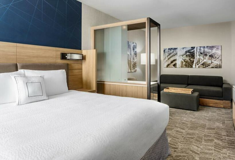 סוויטה, Springhill Suites By Marriott Belmont Redwood Shores