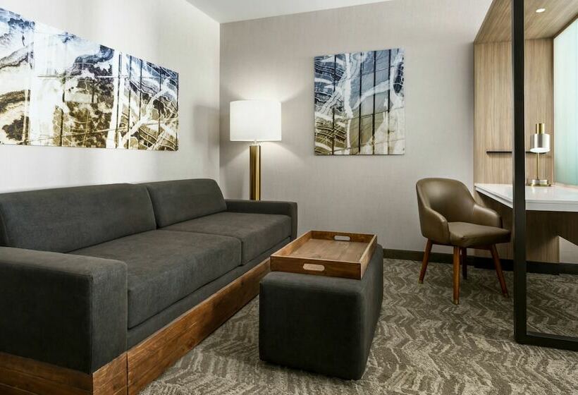 סוויטה, Springhill Suites By Marriott Belmont Redwood Shores