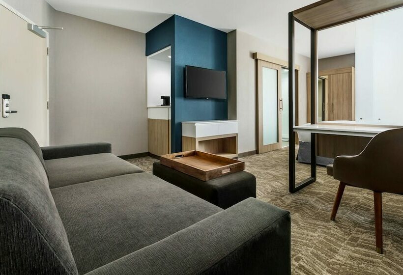 סוויטה, Springhill Suites By Marriott Belmont Redwood Shores