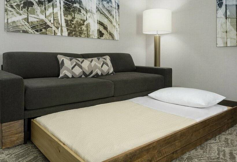 סוויטה, Springhill Suites By Marriott Belmont Redwood Shores