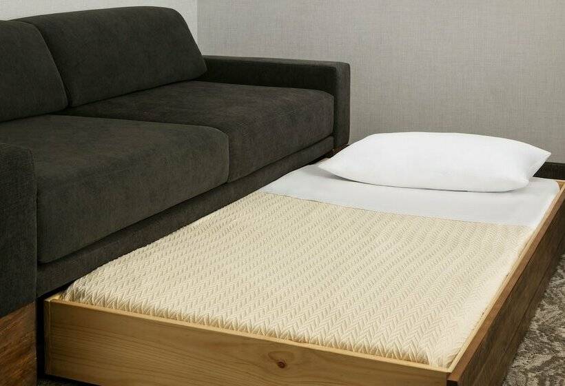 סוויטה, Springhill Suites By Marriott Belmont Redwood Shores