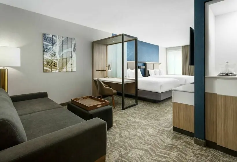 Sviitti, Springhill Suites By Marriott Belmont Redwood Shores