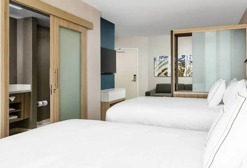 Sviitti, Springhill Suites By Marriott Belmont Redwood Shores