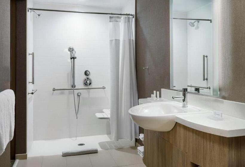 스위트 킹사이즈 침대, Springhill Suites By Marriott Belmont Redwood Shores