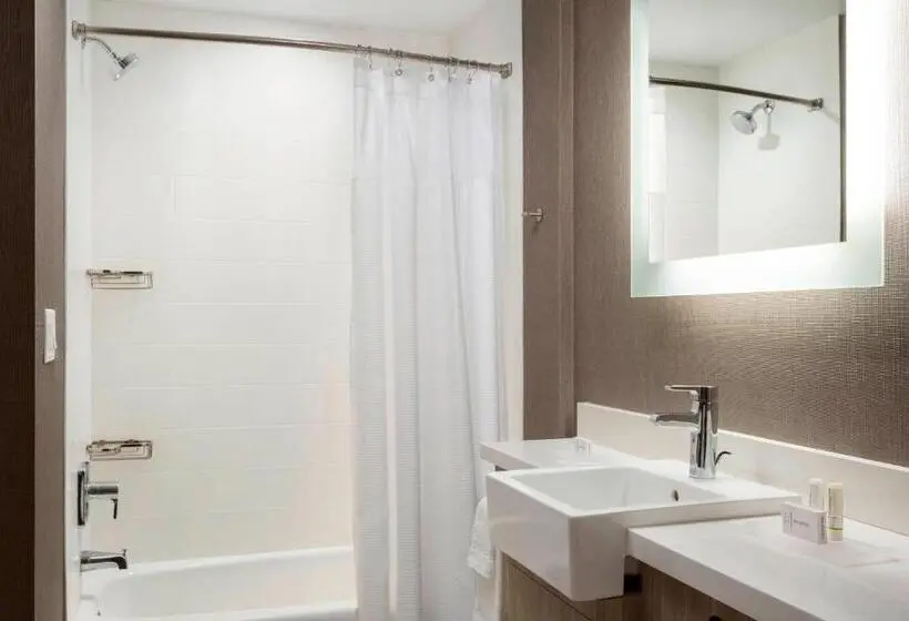 Sviitti King-vuode, Springhill Suites By Marriott Belmont Redwood Shores