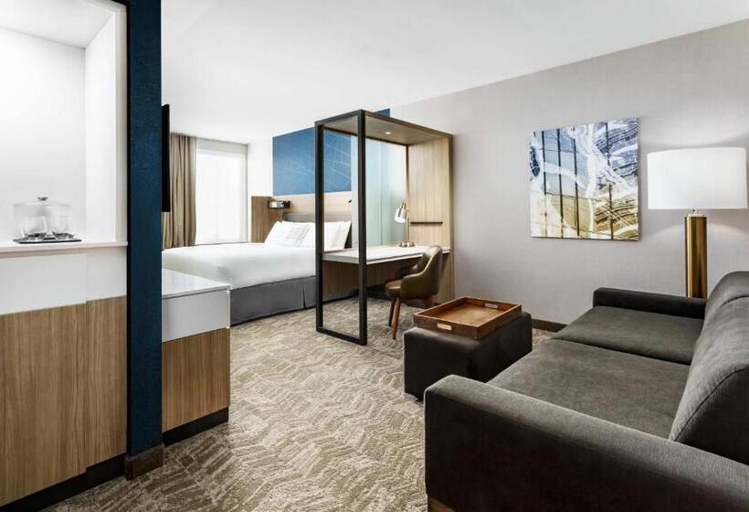 스위트 킹사이즈 침대, Springhill Suites By Marriott Belmont Redwood Shores