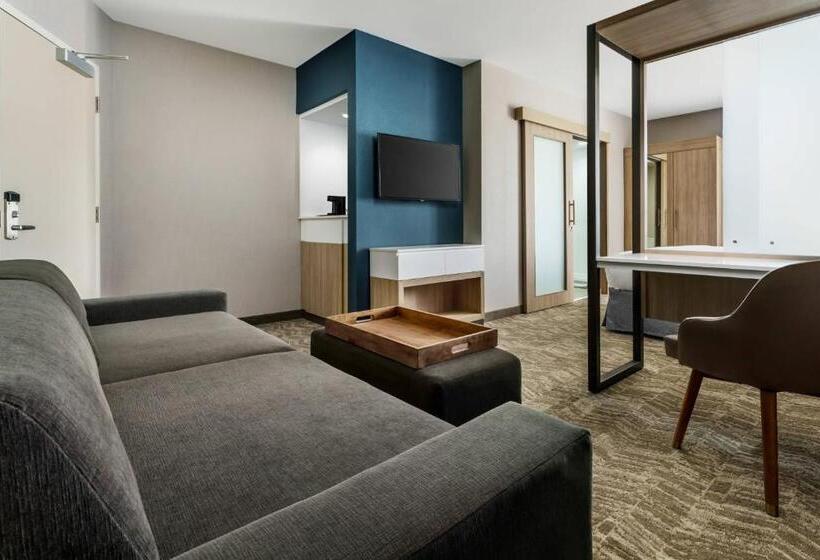 מיטת קינג בסוויטה, Springhill Suites By Marriott Belmont Redwood Shores