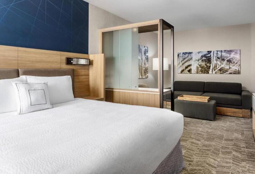 מיטת קינג בסוויטה, Springhill Suites By Marriott Belmont Redwood Shores