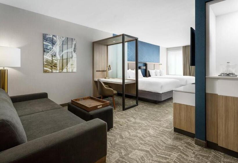스위트, Springhill Suites By Marriott Belmont Redwood Shores
