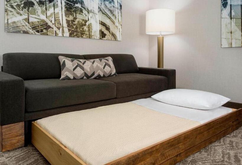 סוויטה מותאמת לאדם עם מוגבלויות, Springhill Suites By Marriott Belmont Redwood Shores