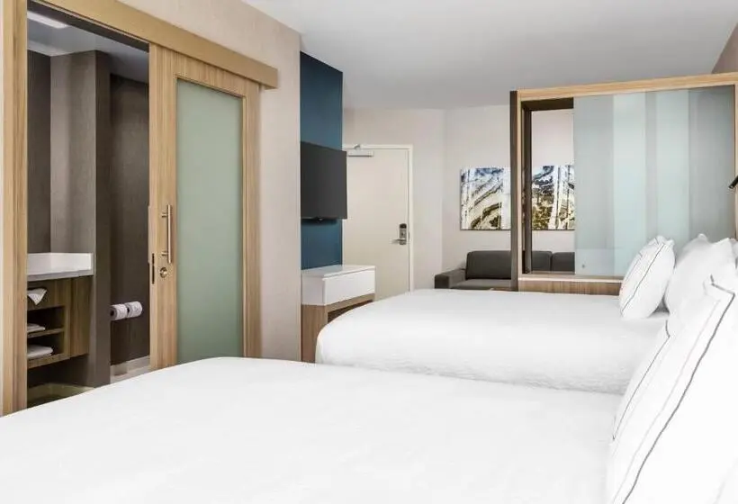 Sviitti Liikuntarajoitteisille, Springhill Suites By Marriott Belmont Redwood Shores