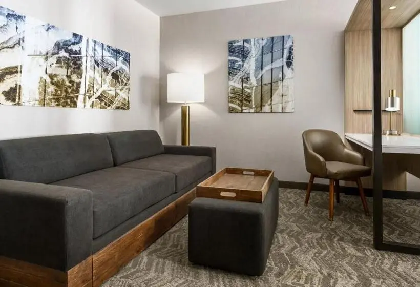 Sviitti Liikuntarajoitteisille, Springhill Suites By Marriott Belmont Redwood Shores