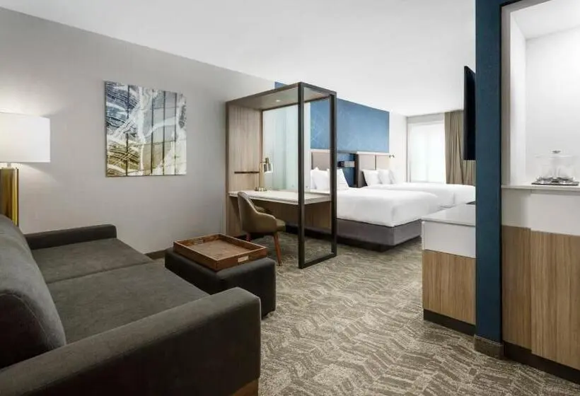 Sviitti Liikuntarajoitteisille, Springhill Suites By Marriott Belmont Redwood Shores