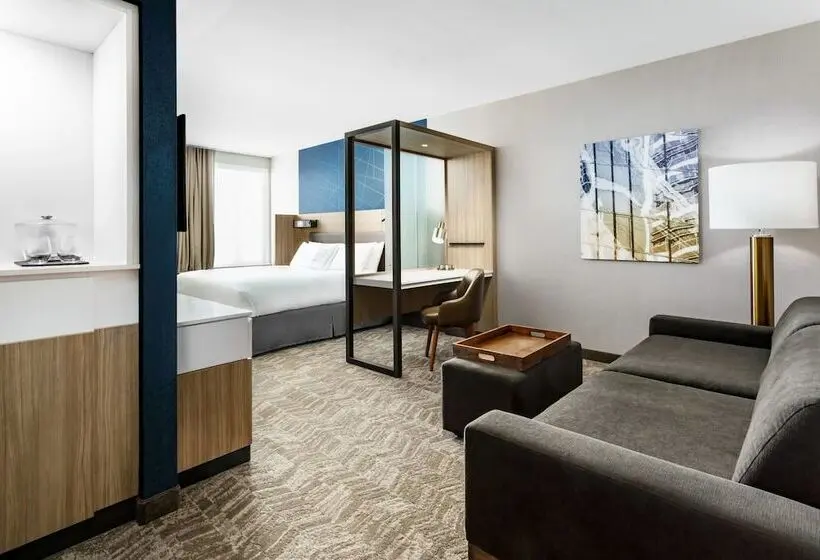 Sviitti Liikuntarajoitteisille, Springhill Suites By Marriott Belmont Redwood Shores