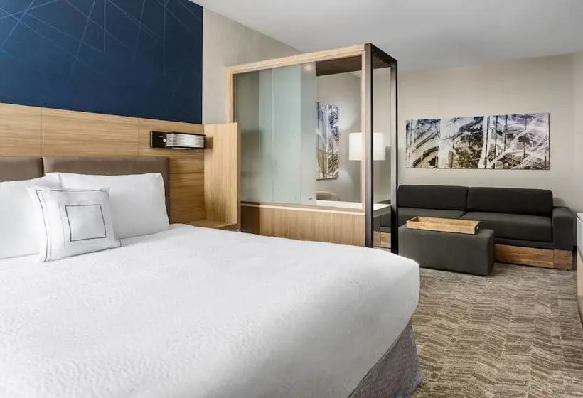Sviitti Liikuntarajoitteisille, Springhill Suites By Marriott Belmont Redwood Shores