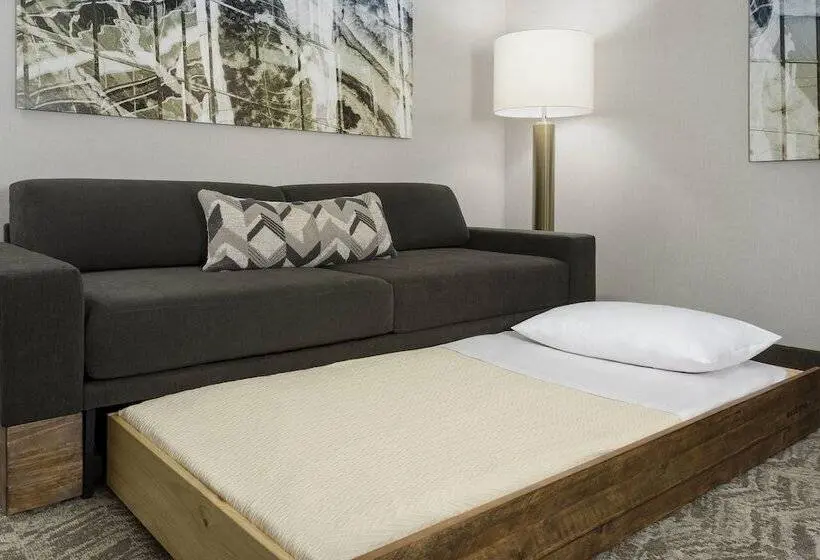 Sviitti Liikuntarajoitteisille, Springhill Suites By Marriott Belmont Redwood Shores