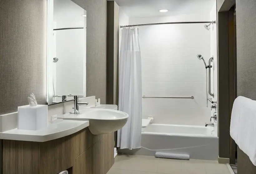 Sviitti Liikuntarajoitteisille, Springhill Suites By Marriott Belmont Redwood Shores