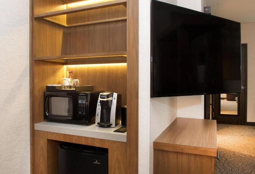 Standard Studio King Bed, Springhill Suites By Marriott Bend