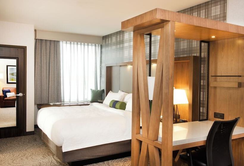 جناح لذوى الاحتياجات الخاصة, Springhill Suites By Marriott Bend