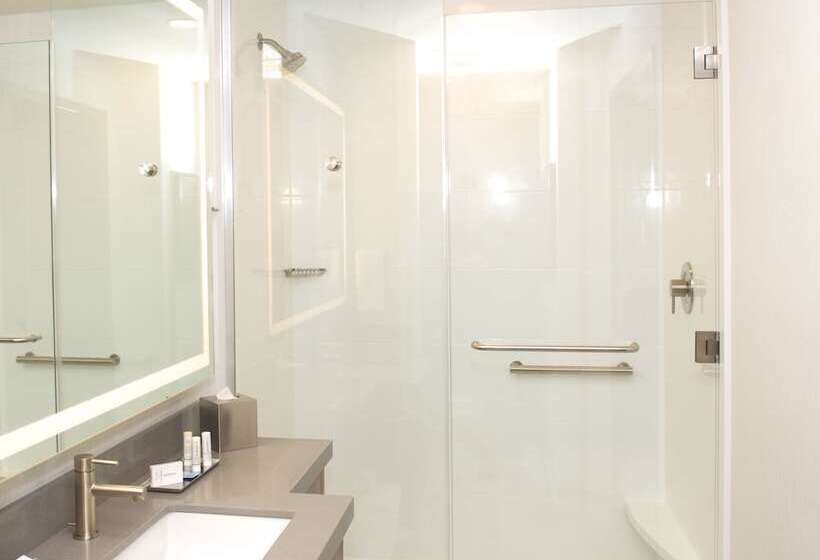 Suite Adaptată pentru Discapacitaţi, Springhill Suites By Marriott Bend