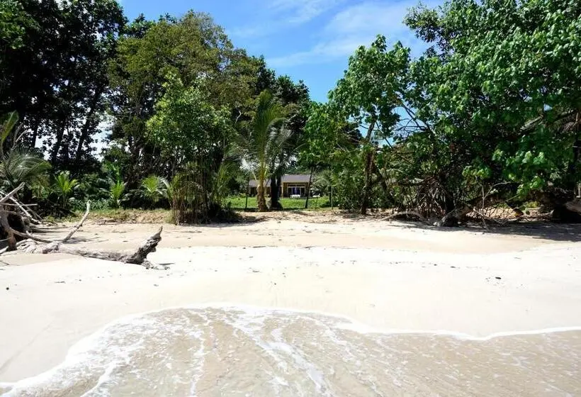 キングサイドベッドのスタンダードワンルーム, Red Frog Beach Island Resort