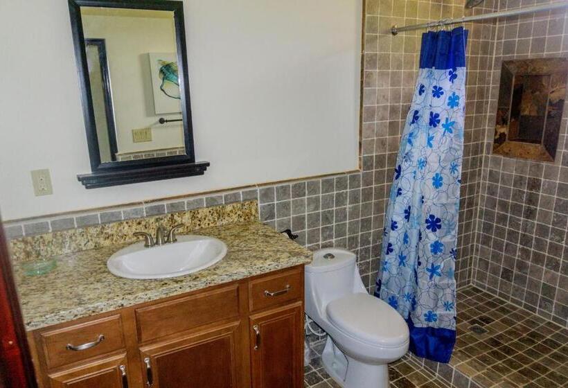 Студио Стандарт Кровать Кинг, Red Frog Beach Island Resort