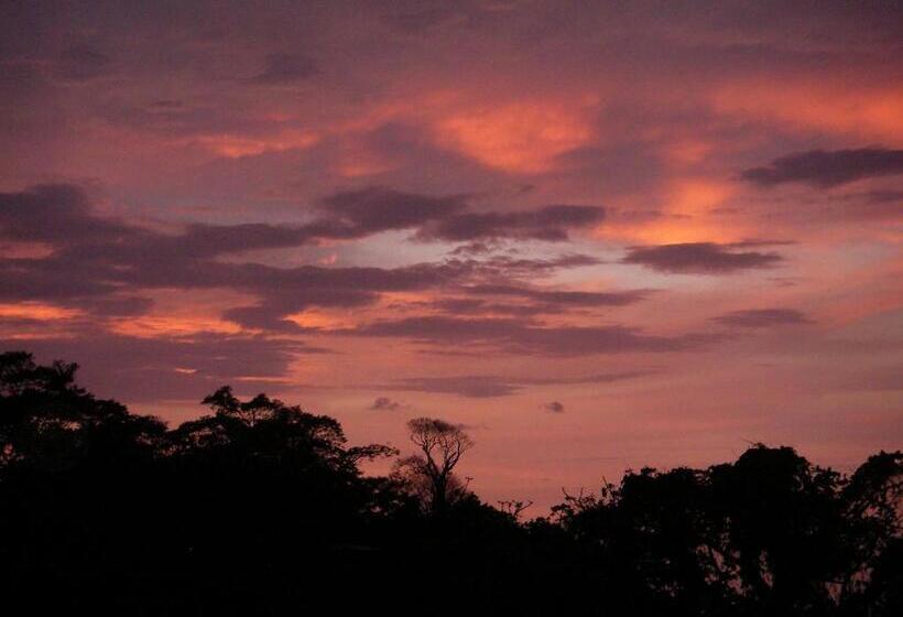 Стандартный Номер Кровать Кинг, Red Frog Beach Island Resort