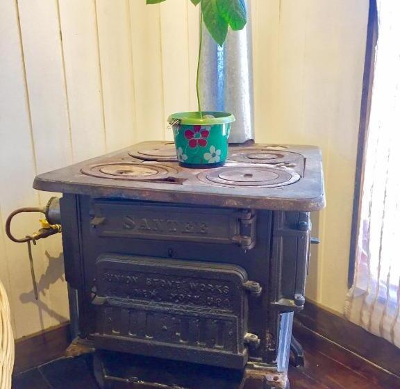 디럭스 스위트 킹 침대, Wild Hostel