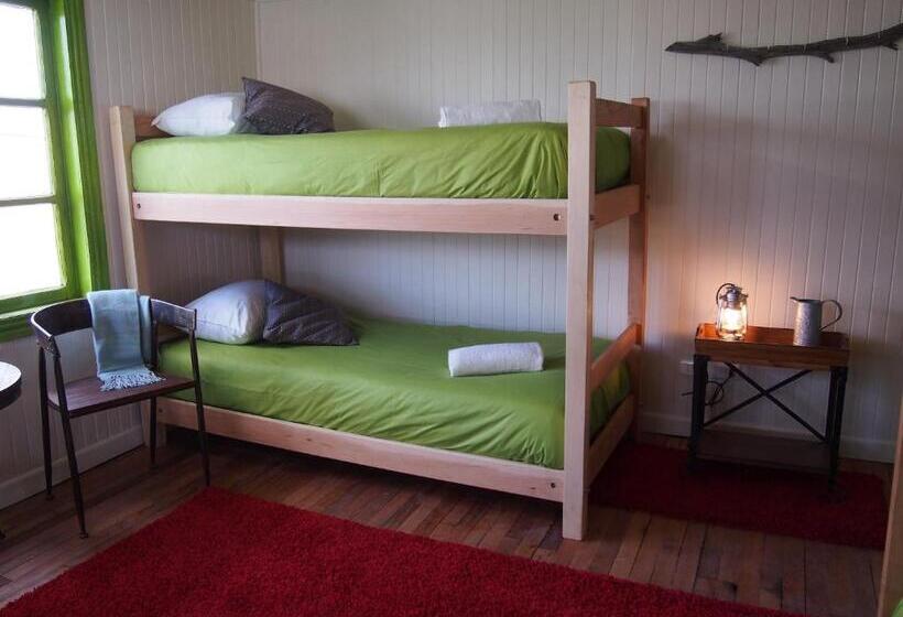 스탠다드 룸 공동 욕실, Wild Hostel