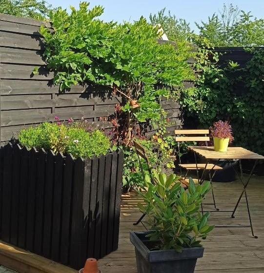 Номер Стандарт, Dragondrum Bed & Kitchen