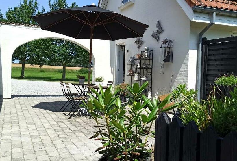 Номер Стандарт, Dragondrum Bed & Kitchen