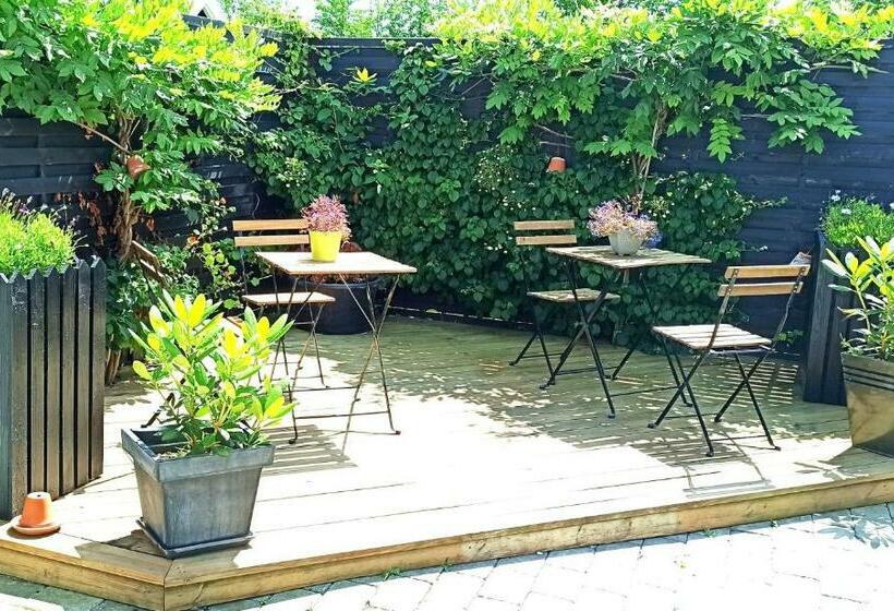 Номер Стандарт, Dragondrum Bed & Kitchen